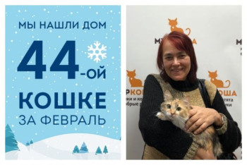 Кошечка Радуга теперь будет сиять дома!
