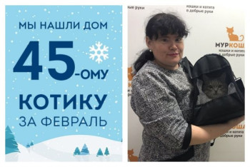 У кота Титуса появилась заботливая хозяйка!