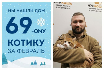 Котик Ломтик отправился в новый дом!
