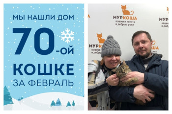 Нежная кошечка Нянкэт нашла свою семью!
