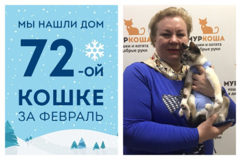 Кошечка Ракель стала домашней меньше чем за месяц!