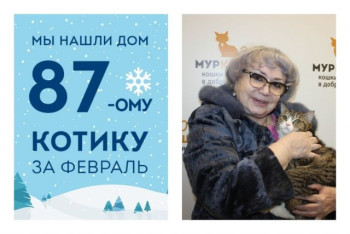 Котенок Лорд стал домашним всего за один месяц!