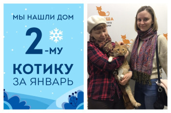В новый год Аватар начинает новую жизнь!