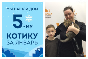 Тёмик для Артёма, уличный котёнок стал домашним всего за две недели!