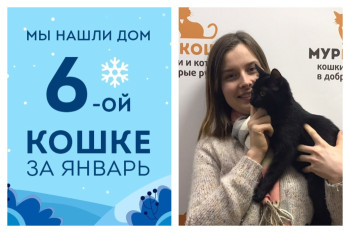 Конэна рада познакомить вас со своей хозяйкой!