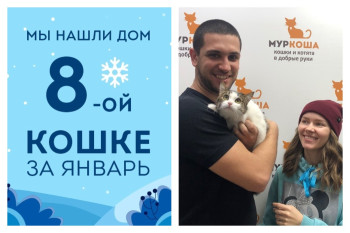 Кошка Индюшка обрела новую семью!