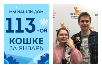 У кошки Богемы появились любящая семья и уютный дом!