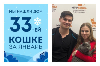Рождественское чудо для двухлетней кошки Флориды!