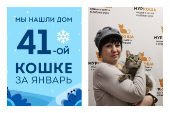 У кошки Евы появилась любящая хозяйка!