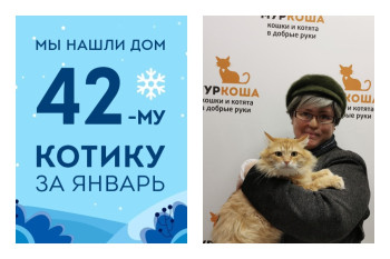 Котик Амиго рад познакомить вас с своей хозяйкой!