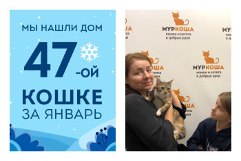 Ивушка, найденная в закрытом ящике, стала домашней!