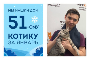 У котика Цуката появились дом и отличная компания!
