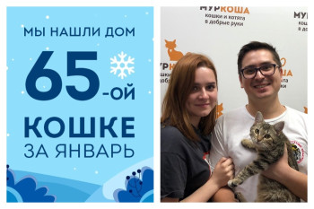Ясенька стала домашней всего за три недели!