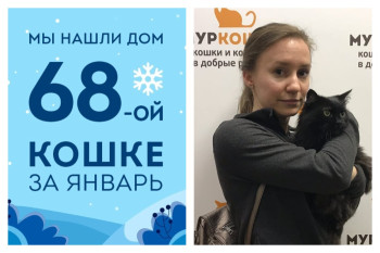 У роскошной кошечки Чампы появилась любящая хозяйка!