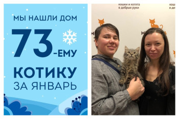 Спустя месяц в приюте у котенка Тишуни появилась семья!