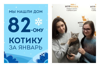 У котенка Воина появилась семья и уютный дом!