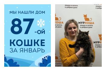 Уезжает в новый дом кошечка Этерия!