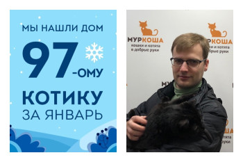 Невероятно! Особенный кот Топаз встретил своего лучшего друга!