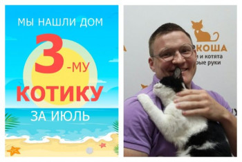Очаровательный котик Рудольф стал домашним любимцем!