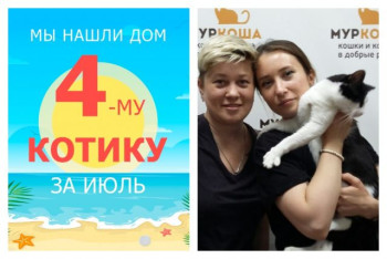 Отправляется домой годовалый котик Ольф!