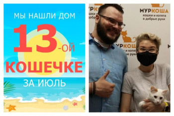 Кошечка Берта нашла дом за три недели!