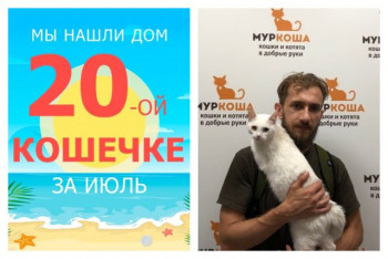 Кошечка Богиня встретила своего любящего хозяина, снова!