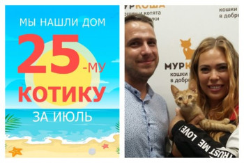 Котенок Морковкин стал частью прекрасной семьи!