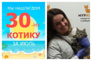 Уезжает домой четырехмесячный котенок Изя!