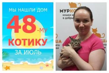 Малыш Мультик обрел дом за один месяц!