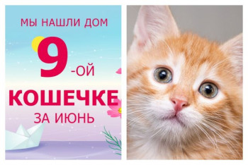 Малышка Цыпочка нашла дом за десять дней!