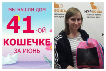 Кошечка Йога отправилась в счастливую домашнюю жизнь!