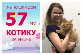 Котик Леон нашел дом за полтора месяца!