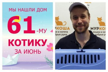 Котик Чегеваро начинает жизнь с чистого листа!