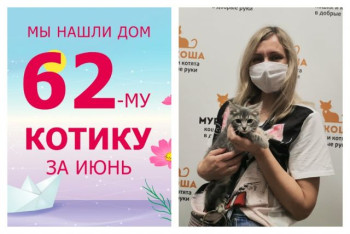 Котенок Кшиштов стал домашним за две недели!