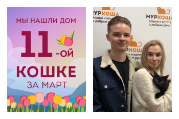 Спустя два месяца в приюте кошечка Власа отправляется домой!
