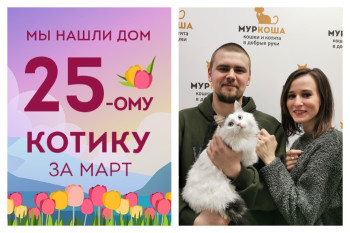 Игривый котик Луга встретил свою семью!