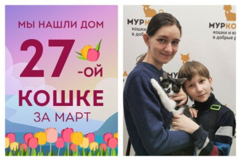 Семимесячная кошечка Оригами отправляется в новую жизнь!