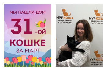 Кошечка Джакарта рада познакомить вас с любимой хозяйкой!