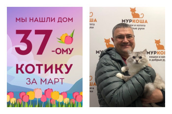 Самый обнимательный котик приюта Вездепух снова стал домашним!