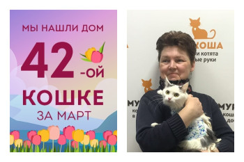 Нежная кошечка Свирелька уезжает в новый дом!