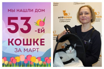 Двухлетняя кошка Няня стала домашней любимицей!