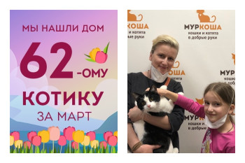 Робкий Матисс обрёл понимающую семью!