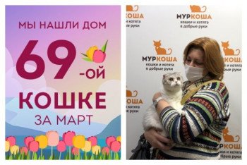 У нежной кошечки Джей снова появилась хозяйка!