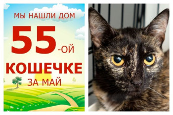 Серьезная Иможен начинает новую жизнь!