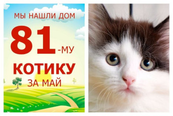 Малыш Темаки обрел дом за две недели!