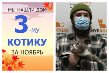Котик Виласкес нашёл свой новый дом всего за две недели!