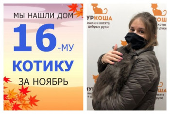 Котик Кубик уезжает в новый дом!