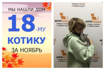Трёхмесячный малыш Матрасик начинает домашнюю жизнь!