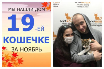 У кошечки Цыпули появились дом и семья!
