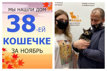 Кошечка Барби отправилась домой!